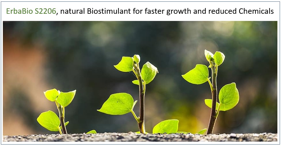 Biostimulant S2206